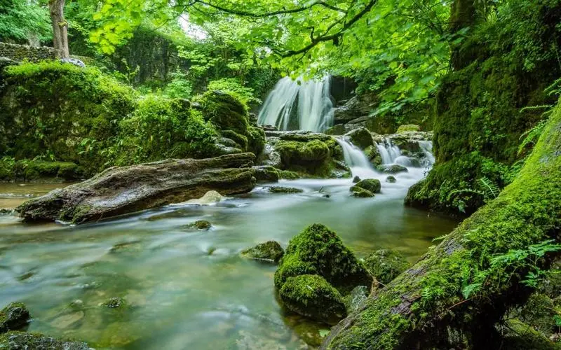 高标准精密高效